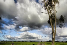 世体：巴萨方面正在研究法律漏洞，以将罗克卖给帕尔梅拉斯.