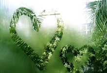 馬德興：泰山與曼谷聯比賽結果可能影響至少50萬美元的收益.