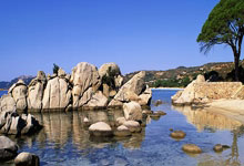 泰山邊衛曹盛租借加盟中乙青島海牛.